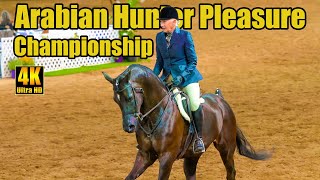 Arabian Horse Hunter Pleasure Championship [upl. by Harbot]