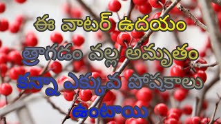 barlee helth benifitbarlee uses Telugu [upl. by Innob]