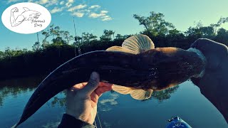 Pimpama River Trolling For Bream And Flathead  Fishermans Diary Ep 769 [upl. by Neztnaj]