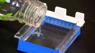 Casting an Agarose Gel [upl. by Ardried]