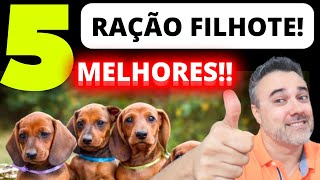 5 melhores RAÇÕES FILHOTES [upl. by Ahsinnor]