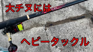 ヘビータックルで挑む！・・・【フカセ釣り 黒鯛】 [upl. by Nolaf]