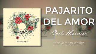 Carla Morrison Pajarito del Amor Letra [upl. by Sihonn]