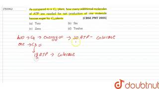 As compared to a C3 plant how many additional molecules of ATP are needed for [upl. by Einiar]