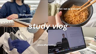 PRODUCTIVE study vlog finals amp postgrad plans [upl. by Nelag]