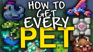 How to get EVERY pet in Terraria 144 [upl. by Adniral559]