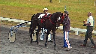 AMMAN VALLEY HARNESS RACES 392000 FREE FOR ALL RACE [upl. by Linneman]