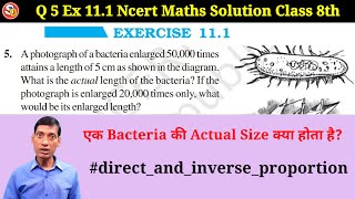 Q 5 Ex 111 Ncert New Maths Solution Class 8th Directandinverseproportion Saraswati Vidya Mandir [upl. by Valida]