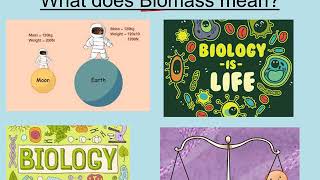 B188 Trophic levels and biomass AQA GCSE Biology [upl. by Kcam]