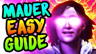 ULTIMATE MAUER DER TOTEN EASTER EGG GUIDE Cold War Zombies Easter Egg ALL SPAWNS SOLO amp COOP [upl. by Annaxor]