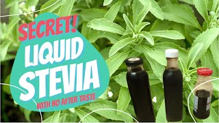 How to make liquid stevia taste better with no aftertaste [upl. by Rheingold]