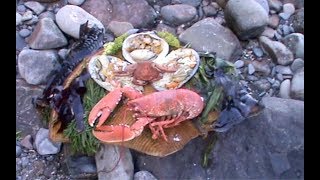 A foraged Pembrokeshire wild seafood feast cooked on the shore with Craig Evans [upl. by Raymond]