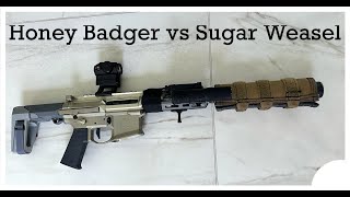 Q Honey Badger vs Sugar Weasel [upl. by Legyn277]