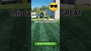 The BEST Way to Control Creeping Bentgrass in the Lawn With Tenacity shorts [upl. by Marx989]