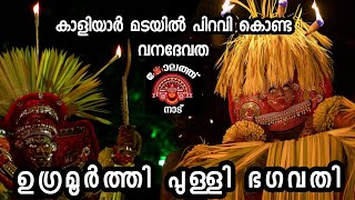 ഉഗ്രമൂർത്തി പുള്ളി ഭഗവതി കാപ്പാട്ട് ദൈവത്താർ ശിക്ഷിച്ച വനദേവത  Pulli Bhagavathi Theyyam theyyam [upl. by Silvers]