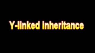 What Is The Definition Of Y linked inheritance [upl. by Cohberg]