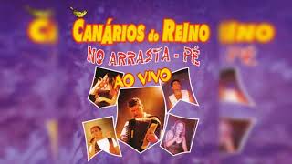 Canários do Reino No Arrasta Pé São João  canários do reino o melhor do arrastapé  cd são joão [upl. by Netty]