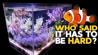 Simple Nano Reef Tank setup 2021 🐠 Soft Corals  Mangrove  Macro Algae Reef Aquarium [upl. by Adai]