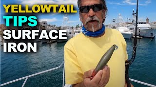 How to Catch Yellowtail  Surface Iron SoCal Style [upl. by Psyche]