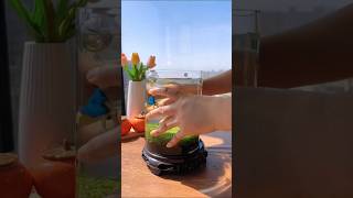 Amazing aquarium fishbowlsetup fishaquarium fishing aquariam fishtank fishbowl fishing [upl. by Otilopih]