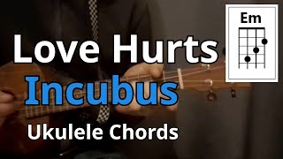 Love Hurts  Incubus Ukulele Chords [upl. by Eissen846]