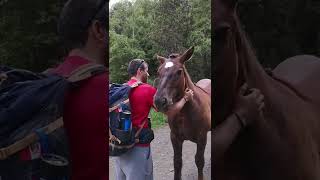 🐴🐴 Caballos Salvajes  Carros de Foc 🔥🔥 [upl. by Laddy21]