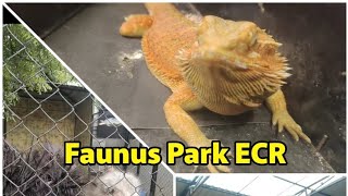 Faunus Park ECR Full Video  shorts reels instagood comedy funny prank alaparaigal [upl. by Cottle]