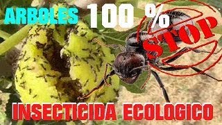 ELIMINAR HORMIGAS EN 1 DIA ECOLOGICAMENTE SIN PESTICIDAS DE ARBOLES  VIVIR EN EL CAMPO [upl. by Eugnimod]