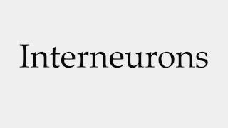 How to Pronounce Interneurons [upl. by Delacourt217]