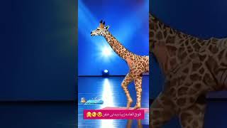 rap magic hiphop shorts human 🚶‍♀️transform into Giraffe🦒 Americas got talent giraffe 🦒🦒🦒 [upl. by Toney]