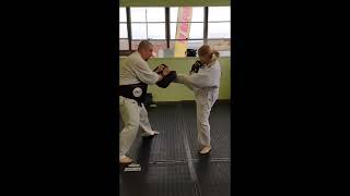 KUDO Practice in Plymouth MI kudo mma karate martialart [upl. by Elisha]