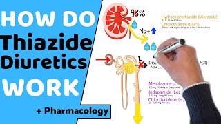 How do Thiazide Diuretics Work  Pharmacology [upl. by Innavoj]