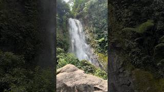 Saderi Waterfall nature asmr [upl. by Adnamma]