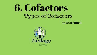 Types of Cofactors  Cofactors Class 11 Biology  Enzymes [upl. by Asert447]