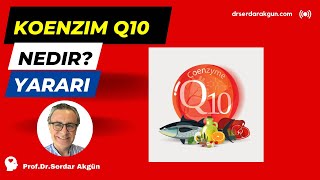 Sağlık Koenzim Q10 Sağlık ProfDrSerdar Akgün [upl. by Delcina]