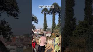 Unraveling the Enigmatic Pasupatinath Temple [upl. by Theodoric928]