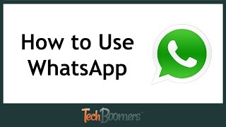 How to Use WhatsApp [upl. by Ana20]