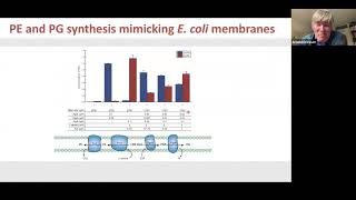 BuildaCell seminar Arnold Driessen Building membranes for synthetic cells [upl. by Fishman]