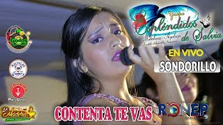 ESPLENDIDOS DE SALVIA►CONTENTA TE VAS☆ ANIVERSARIO SONDORILLO ♫ ☛ RONEP Producciones [upl. by Etnwahs]