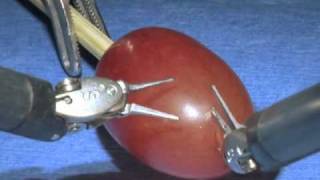 da Vinci Surgical System Surgery on a grape [upl. by Kramal]