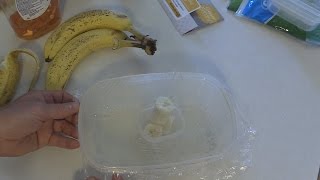 Worlds Best Gnat  Fruit Fly Trap  It really works GREAT on those fruit Flies [upl. by Sweyn]