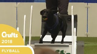 Flyball  Team QuarterFinals Part 1  Crufts 2018 [upl. by Yelyah]