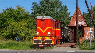 Lxd2374 GKW z pociągiem relacji Tarnowskie Góry Wąskotorowe  Bytom Karb Wąskotorowy [upl. by Aikkan454]