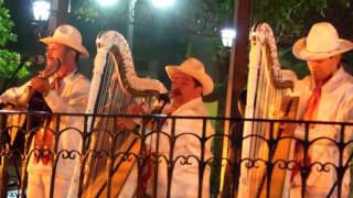 El Querreque con grupo jarocho en Coyoacán Ciudad de México [upl. by Novak]