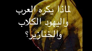 85 لماذا يكره اغلبية العرب واليهود الكلاب والخنازير؟ [upl. by Aserret]