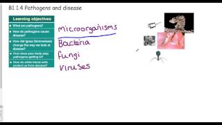 GCSE science Pathogens [upl. by Dloreh]