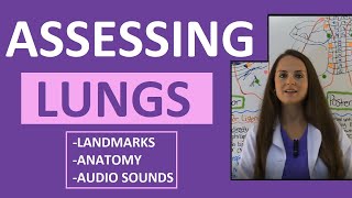 Lung Auscultation Landmarks Sounds Placement Nursing  Assessing Lungs Part 1 [upl. by Eli219]