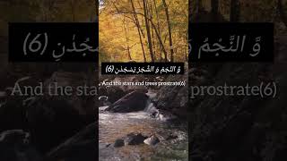 Surah Rehman with English translationSurah Rehman recitationrecitationofquranfyp youtubeshorts [upl. by Rolyat763]