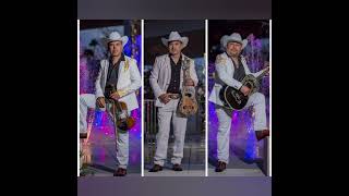 ECHAME AMI LA CULPA TRIO POTENCIA HUASTECA [upl. by Leach]