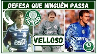 Grandes defesas de Velloso pelo Palmeiras Top 6 [upl. by Tfat281]